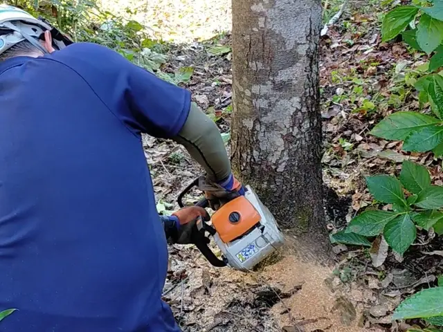 良心価格・丁寧作業に自信あり！！ 職人歴15年以上、多数実績あり！！サービスの画像