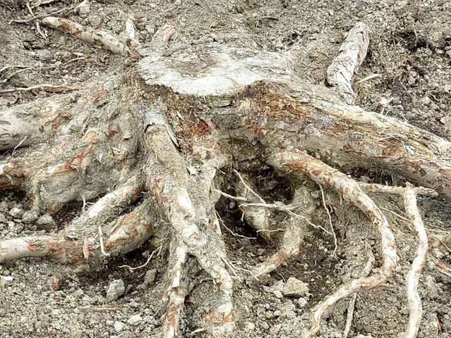 良心価格・丁寧作業に自信あり！！ 職人歴15年以上、多数実績あり！！サービスの画像