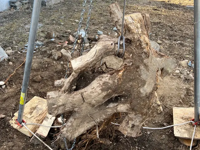 良心価格・丁寧作業に自信あり！！ 職人歴15年以上、多数実績あり！！サービスの画像