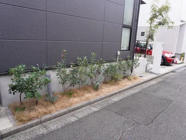 新規の植栽から移植まで植木の植え替えならお任せ下さい！枯らすことなく生かします！サービスの画像