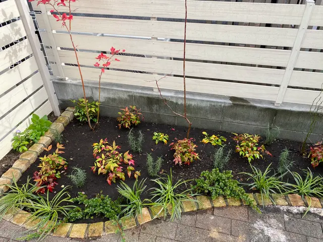 新規の植栽から移植まで植木の植え替えならお任せ下さい！枯らすことなく生かします！サービスの画像