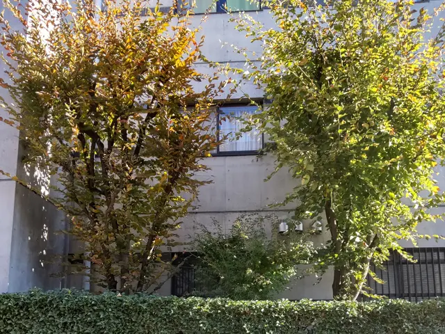 【業歴40年二代目店長】お庭の環境毎に植木に合わせたお手入れいたします。サービスの画像