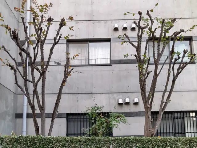 【業歴40年二代目店長】お庭の環境毎に植木に合わせたお手入れいたします。サービスの画像