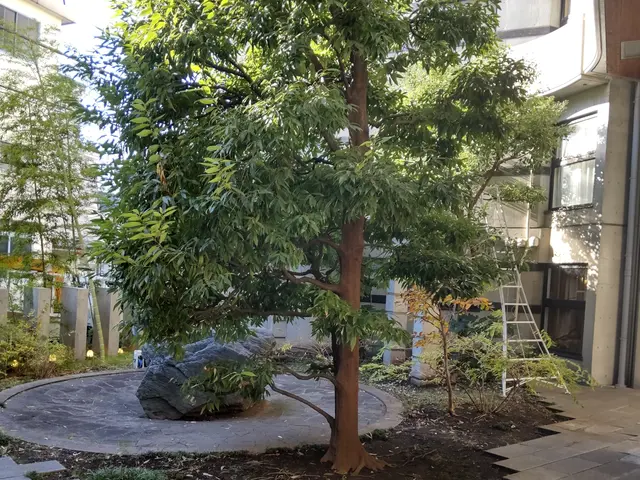 【業歴40年二代目店長】お庭の環境毎に植木に合わせたお手入れいたします。サービスの画像