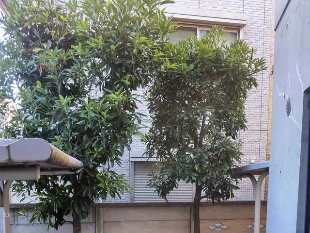 【業歴40年二代目店長】お庭の環境毎に植木に合わせたお手入れいたします。サービスの画像