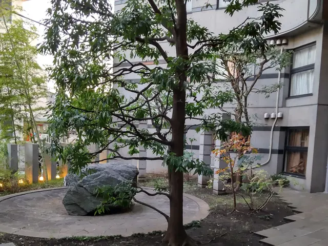 【業歴40年二代目店長】お庭の環境毎に植木に合わせたお手入れいたします。サービスの画像