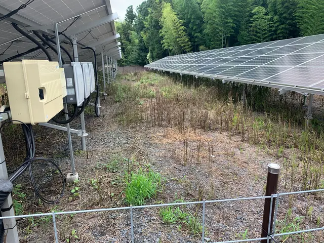 太陽光発電所オーナー様の力になります！外房地域限定！サービスの画像