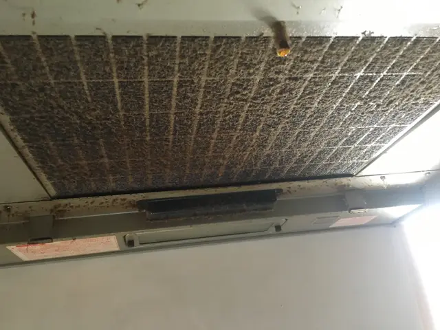 ガンコな汚れもお任せください！10年放ったらかしの換気扇遠慮なくご相談下さい！サービスの画像