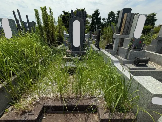 【お写真でご報告】お墓参り代行-墓石清掃、除草作業、献花、お線香込みサービスの画像