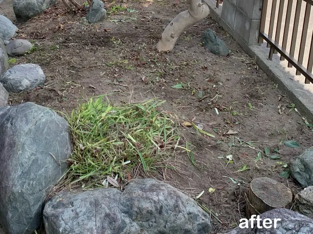 お庭の草をスッキリ、丁寧に刈り取ります！草刈りシーズンはお任せください！サービスの画像