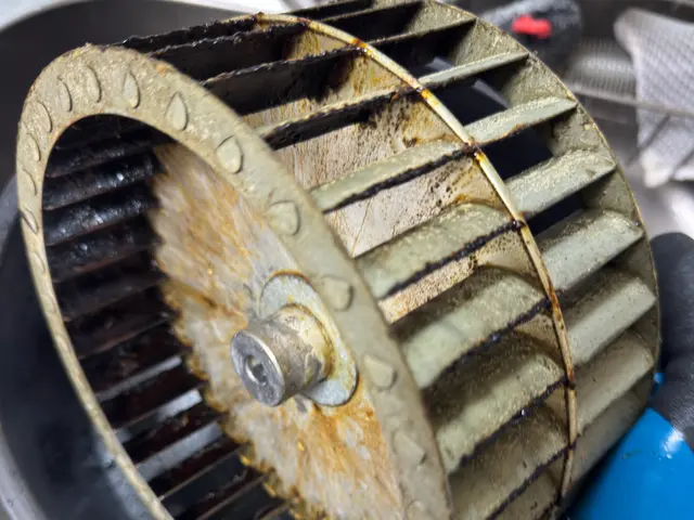 レンジフードクリーニング◯HPに事例写真随時更新！セットでお得な情報もあるよ！サービスの画像