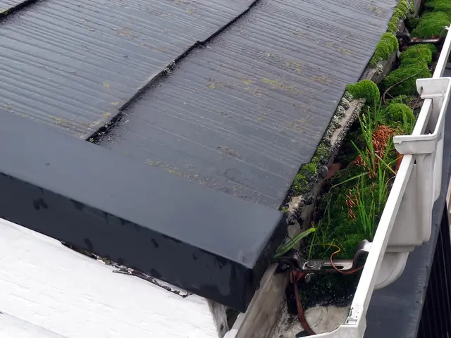 雨樋修理箇所3か所まで一律1万円で承ります！サービスの画像