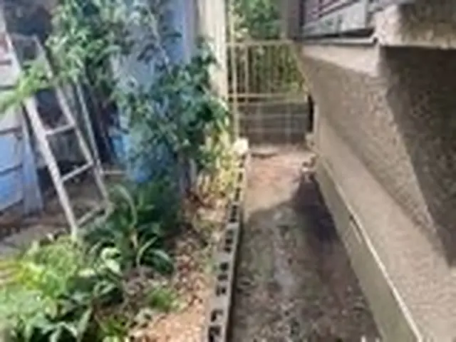 【１０月出店】手作業で根っこまで丁寧に除去！サービスの画像