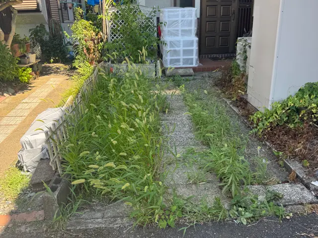 【１０月出店】手作業で根っこまで丁寧に除去！サービスの画像