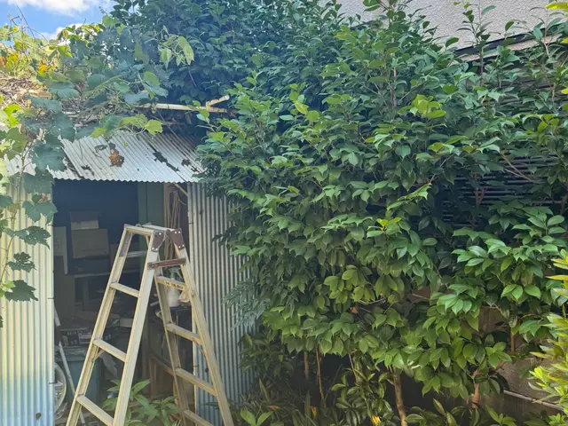 【１０月出店】手作業で根っこまで丁寧に除去！サービスの画像