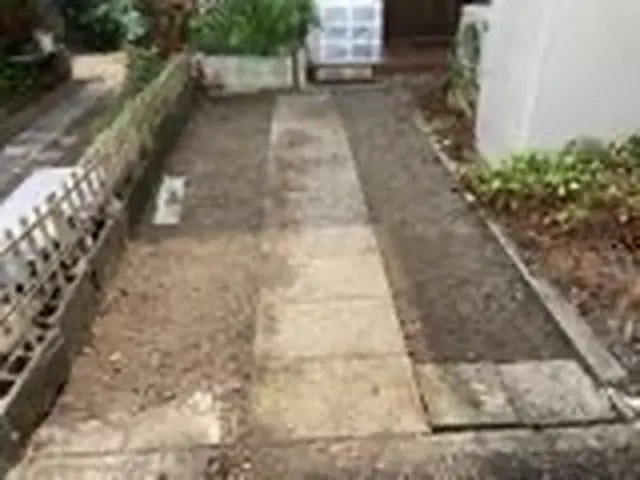 【１０月出店】手作業で根っこまで丁寧に除去！サービスの画像