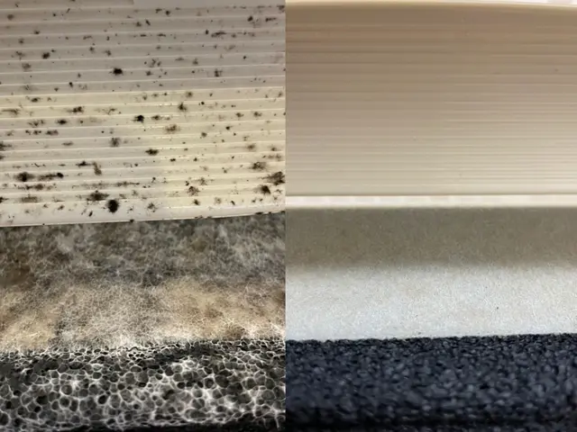 【繁忙期突入しています☆ご予約はお早めに！】サービスの画像