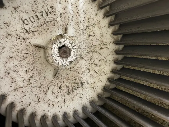 【繁忙期突入しています☆ご予約はお早めに！】サービスの画像