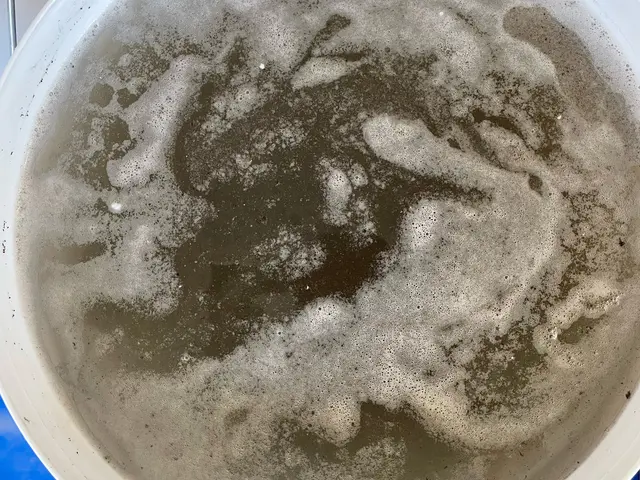 【繁忙期突入しています☆ご予約はお早めに！】サービスの画像