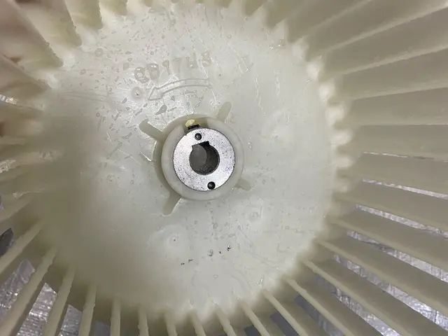 【繁忙期突入しています☆ご予約はお早めに！】サービスの画像