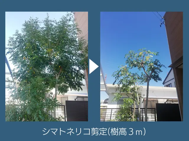 《経験年数24年》浜松市発◆お客様との対話を大事にしていますサービスの画像