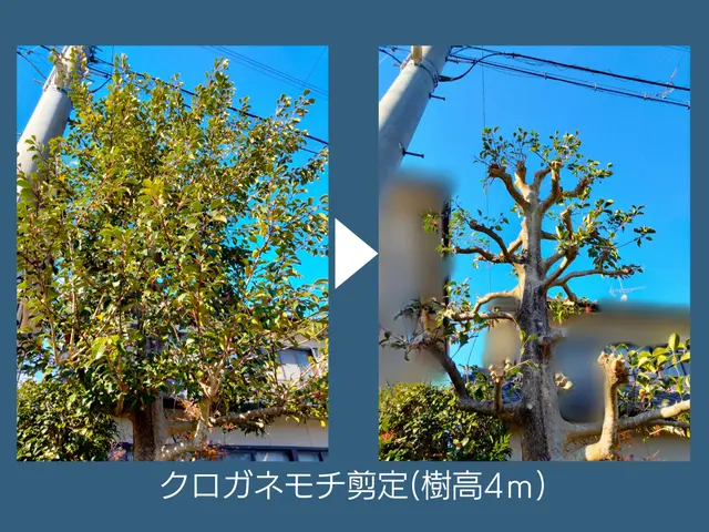 《経験年数24年》浜松市発◆お客様との対話を大事にしていますサービスの画像