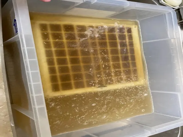 特別価格！！自然にも体にも○ 安心と綺麗をお届けしますサービスの画像