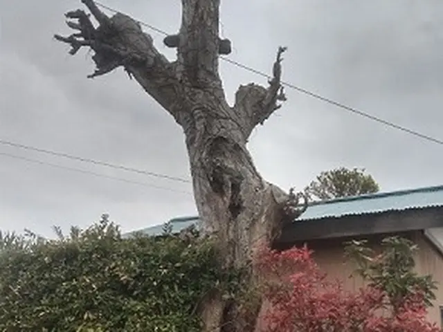 ◆水戸市中心・地域密着店◆作業外注なし完全自社対応◆安心の損害保険加入店サービスの画像