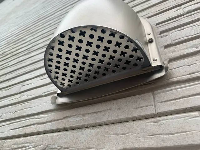 【対応地域外相談OK】高難度のコウモリ防除はプロにおまかせあれ！サービスの画像