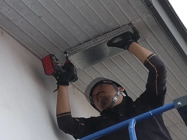 【対応地域外相談OK】高難度のコウモリ防除はプロにおまかせあれ！サービスの画像