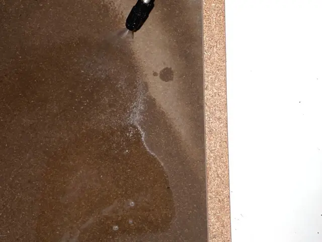 飲食店ゴキブリ駆除サービスの画像