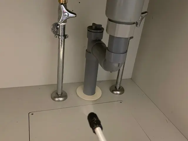 飲食店ゴキブリ駆除サービスの画像