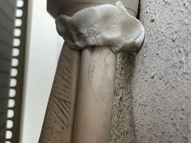 飲食店ゴキブリ駆除サービスの画像