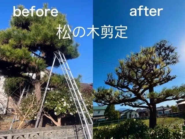 庭のお手入れ専門店　新規のお客様も大歓迎です　庭木のイメージチェンジにも対応可能サービスの画像