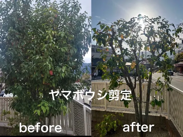 庭のお手入れ専門店　新規のお客様も大歓迎です　庭木のイメージチェンジにも対応可能サービスの画像