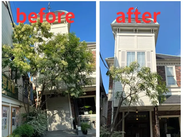 ★剪定なら私にお任せください★種類に合わせた剪定とお客様のご要望にも対応しますサービスの画像