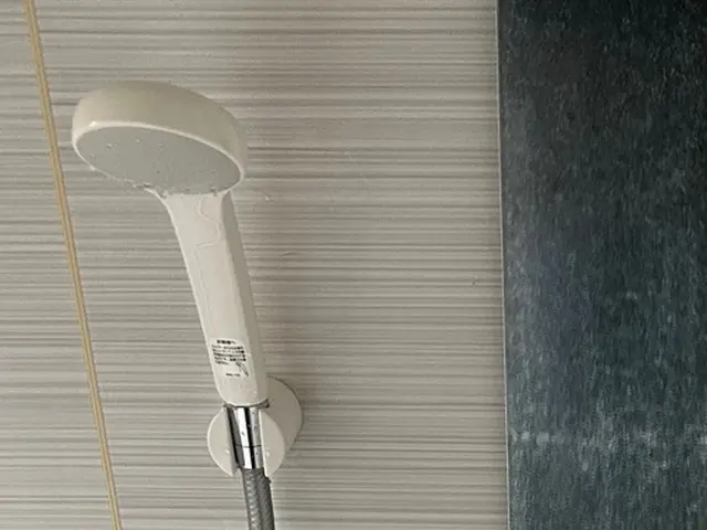 シャワーヘッド、シャワーホース交換！パッキン劣化、ホース亀裂などサービスの画像