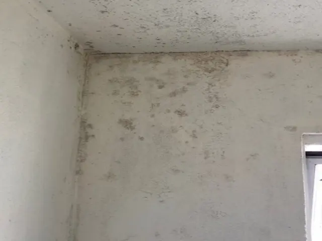 ★きれいなお風呂でリフレッシュ★損害保険加入サービスの画像