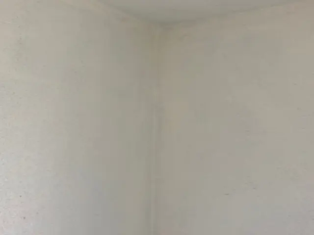 ★きれいなお風呂でリフレッシュ★損害保険加入サービスの画像