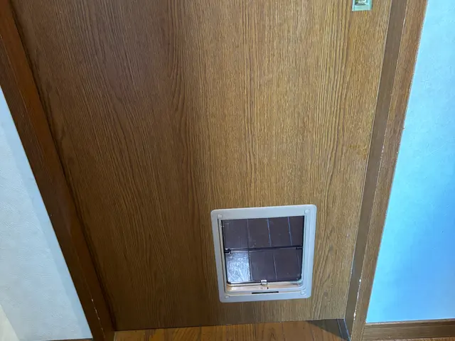 【完全自社施工！】愛するペットのために！ペットドア設置！サービスの画像