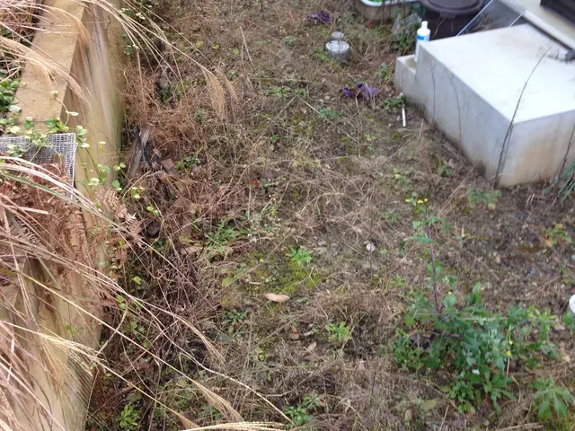 ★【お時間がない方、お任せください！】業界歴10年以上の草むしりマスター！サービスの画像