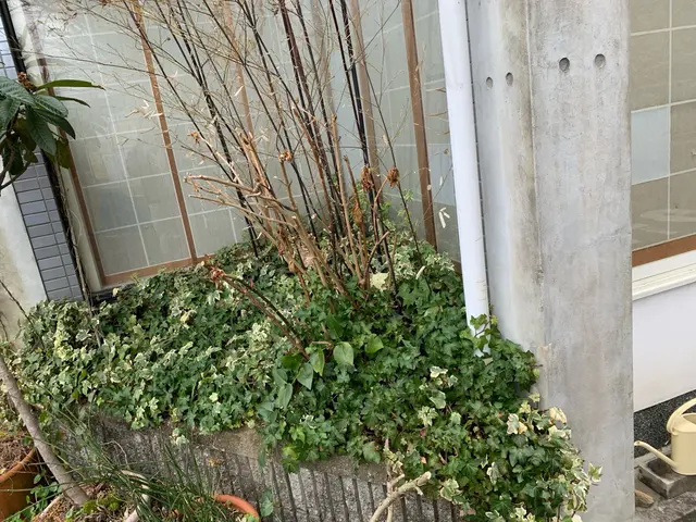 ★【お時間がない方、お任せください！】業界歴10年以上の草むしりマスター！サービスの画像