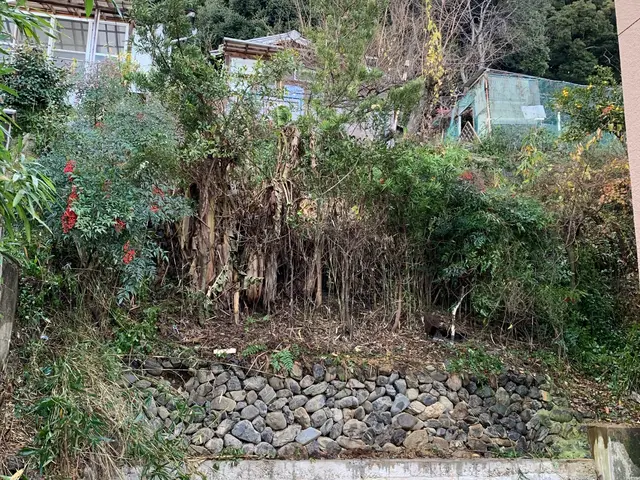 ★【お時間がない方、お任せください！】業界歴10年以上の草むしりマスター！サービスの画像