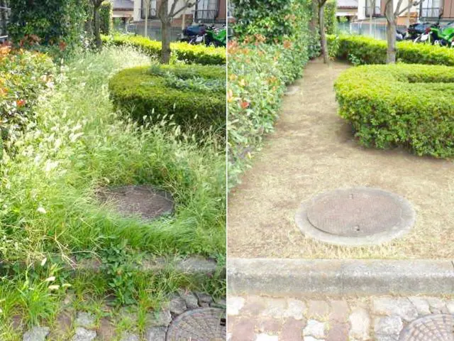 【信頼と実績の(有)関野造園】2/9,10,13,23で受付可♪≪1/23時点≫サービスの画像