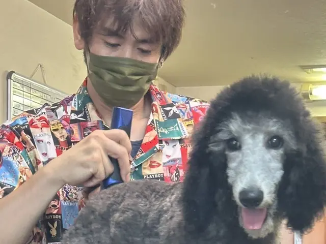 ◎大衆理容価格◎パピー＆老犬要相談！　JKC資格トリマー☆奈良県＆大阪府サービスの画像