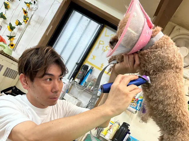 ◎大衆理容価格◎パピー＆老犬要相談！　JKC資格トリマー☆奈良県＆大阪府サービスの画像