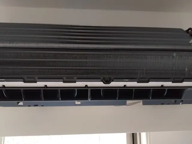 経験豊富な店長がお伺い致します!　　黒カビ、ホコリ、悪臭を完全退治！サービスの画像