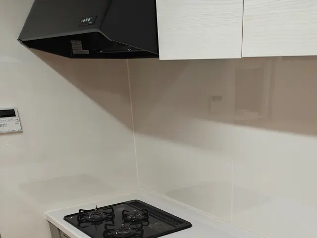 【お得なセット】お風呂とレンジフード！汚れやすい定番２つをしっかりキレイに！サービスの画像