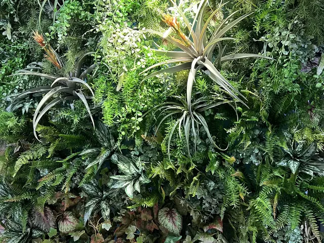 実績10年のスタッフが丁寧で納得の作業をさせていただきます。サービスの画像