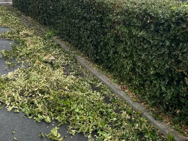 時間外対応！丁寧でスピーディーな仕事をやっております。サービスの画像